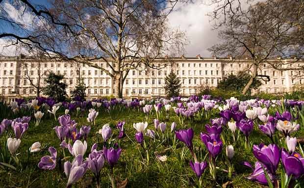 Warwick Square garden