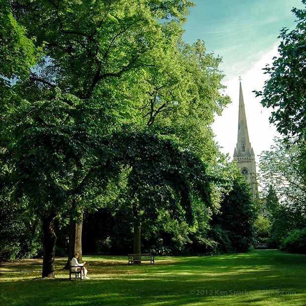 Warwick Square garden, July 2008